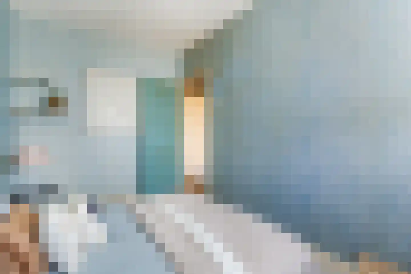 Spaansgroenstraat 52 Zaandam thumbnail 20