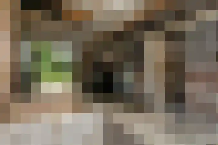 Spaanshuisken 17 Koningsbosch thumbnail 11