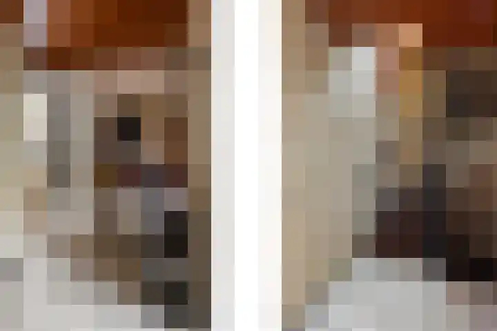 Spaanshuisken 17 Koningsbosch thumbnail 12