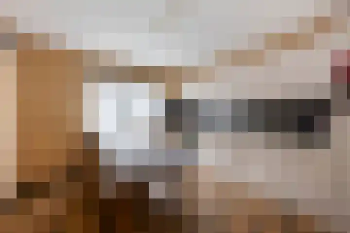 Spaanshuisken 17 Koningsbosch thumbnail 13