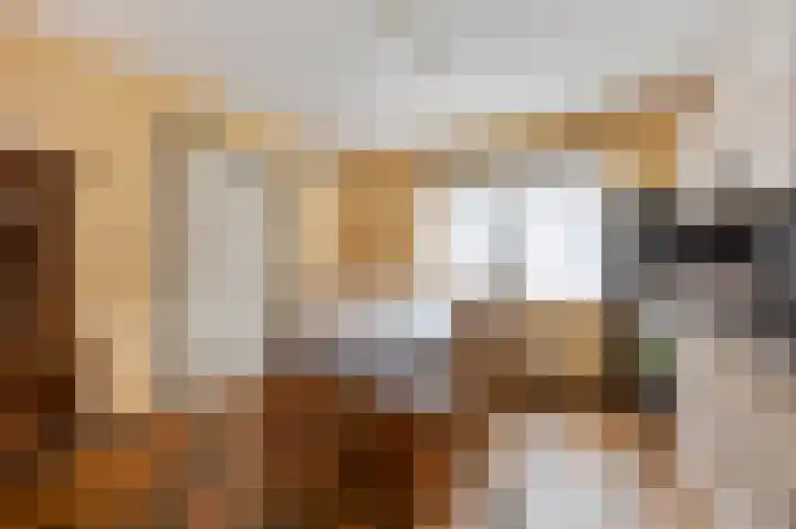 Spaanshuisken 17 Koningsbosch thumbnail 14