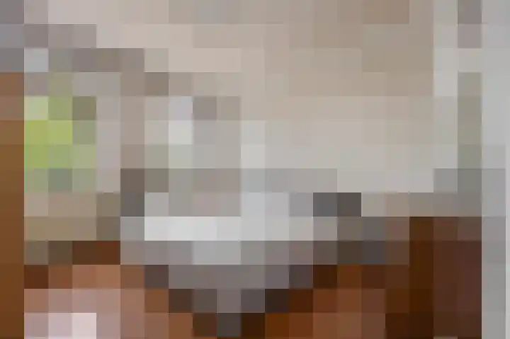 Spaanshuisken 17 Koningsbosch thumbnail 17