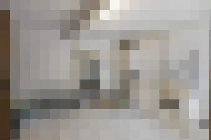 Spaanshuisken 17 Koningsbosch thumbnail 18