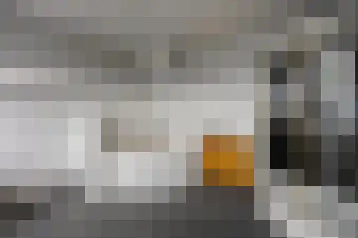 Spaanshuisken 17 Koningsbosch thumbnail 21