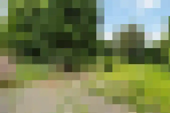 Spaanshuisken 17 Koningsbosch thumbnail 23