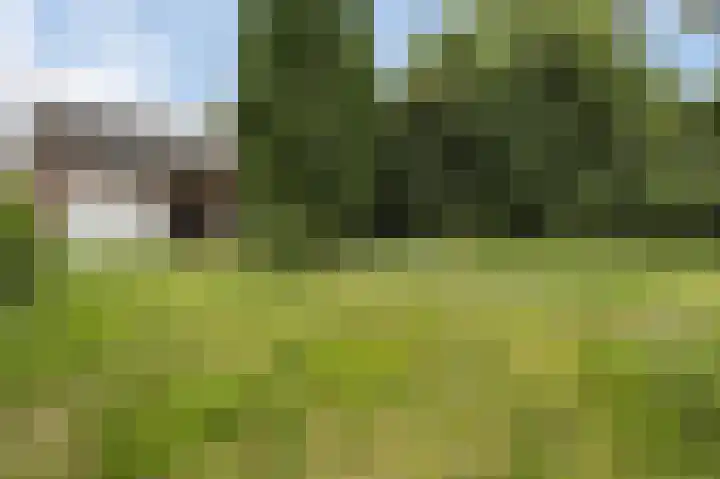 Spaanshuisken 17 Koningsbosch thumbnail 24