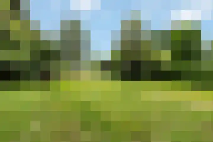 Spaanshuisken 17 Koningsbosch thumbnail 25