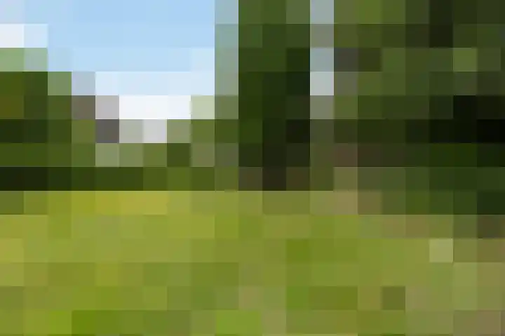 Spaanshuisken 17 Koningsbosch thumbnail 26