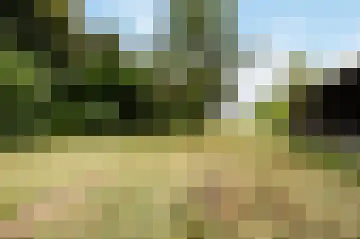 Spaanshuisken 17 Koningsbosch thumbnail 27
