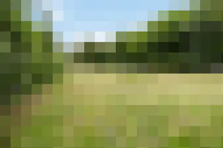 Spaanshuisken 17 Koningsbosch thumbnail 29