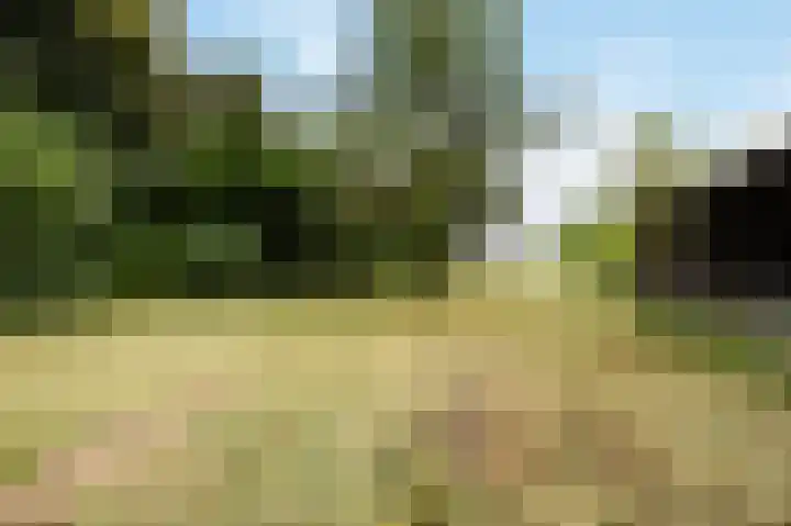 Spaanshuisken 17 Koningsbosch thumbnail 4