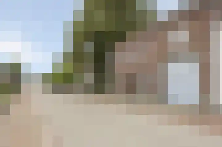 Spaanshuisken 17 Koningsbosch thumbnail 5