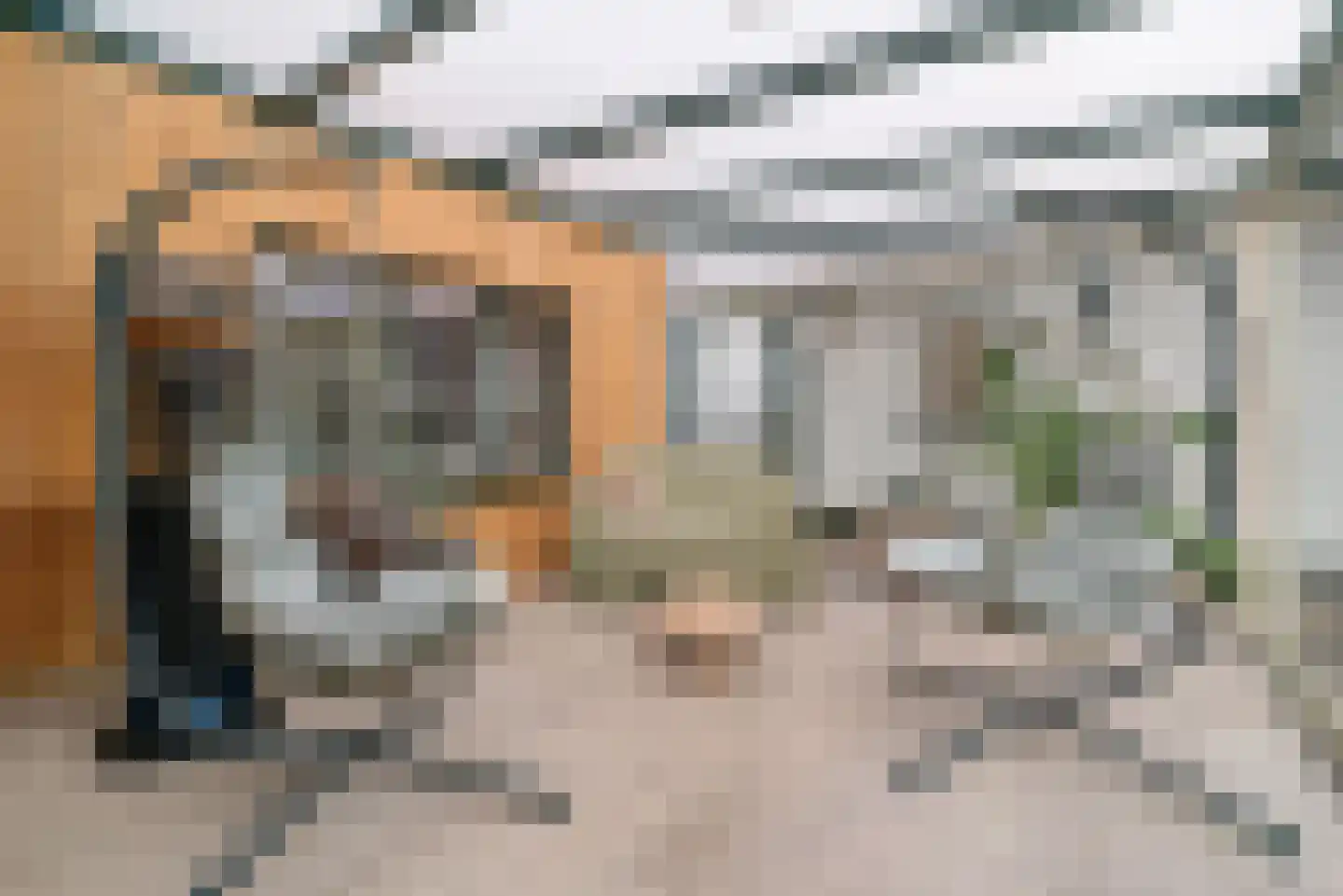 Spaanshuisken 21 Koningsbosch thumbnail 10