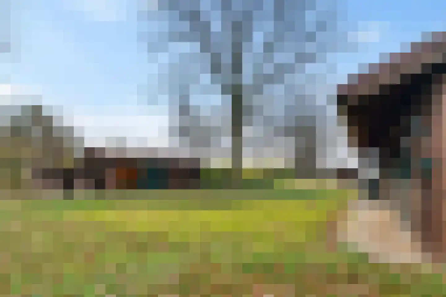 Spaanshuisken 21 Koningsbosch thumbnail 19