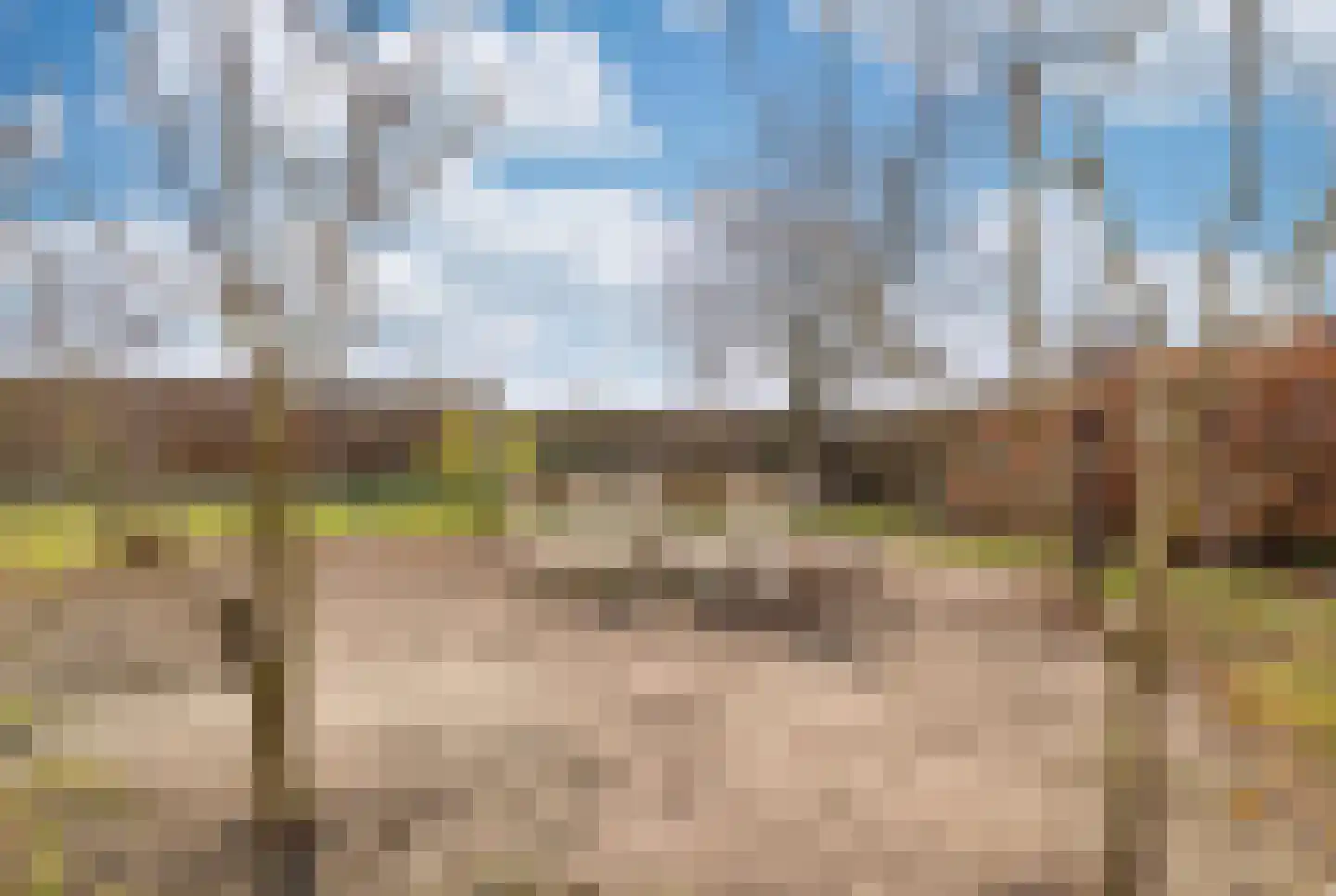 Spaanshuisken 21 Koningsbosch thumbnail 23