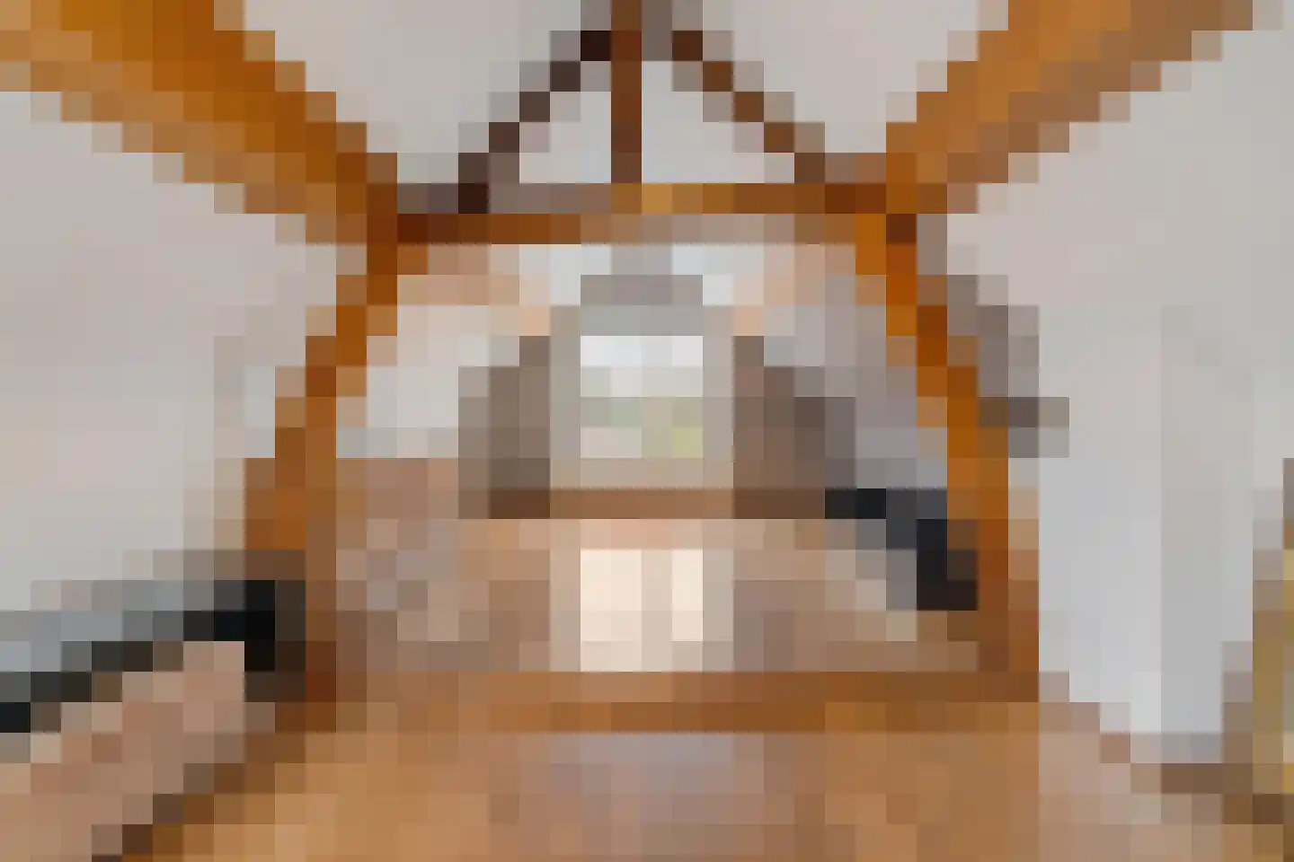 Spaanshuisken 21 Koningsbosch thumbnail 25
