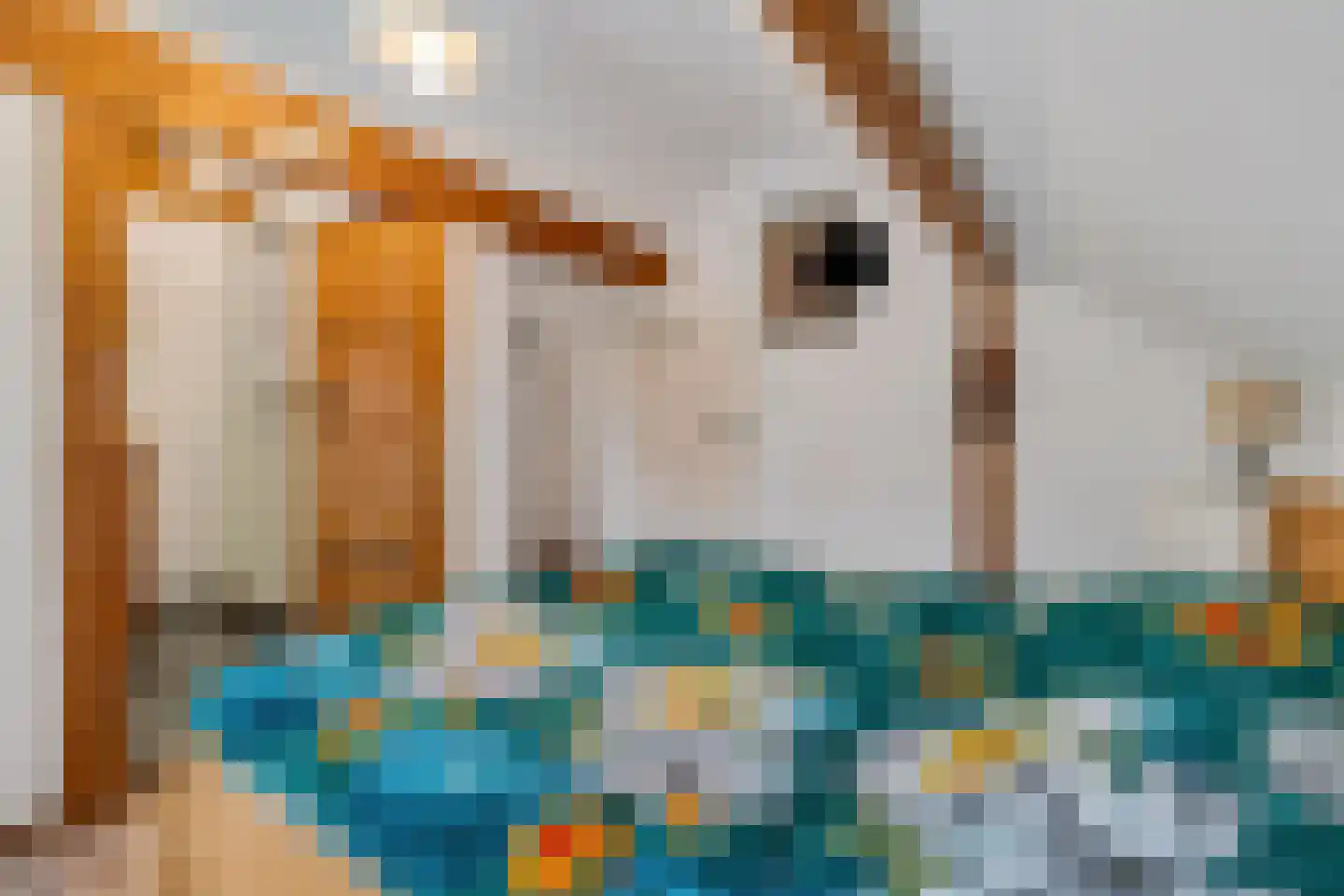 Spaanshuisken 21 Koningsbosch thumbnail 28