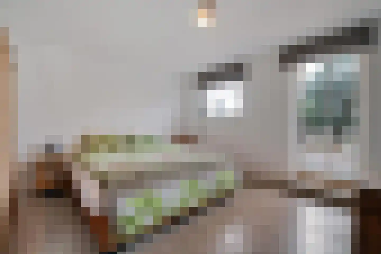 Spaanshuisken 21 Koningsbosch thumbnail 31