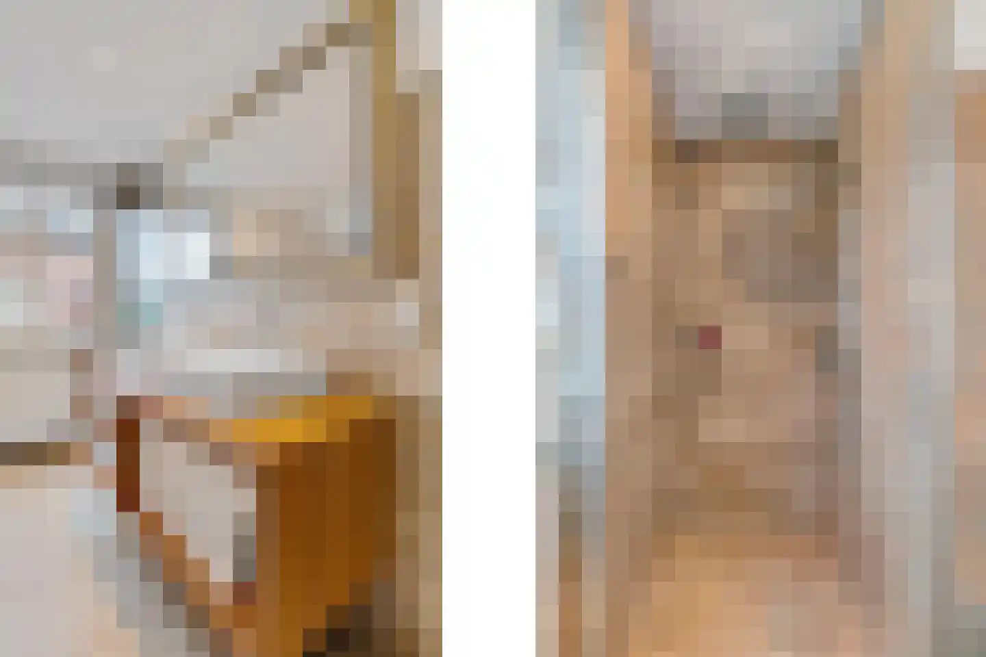 Spaanshuisken 21 Koningsbosch thumbnail 37