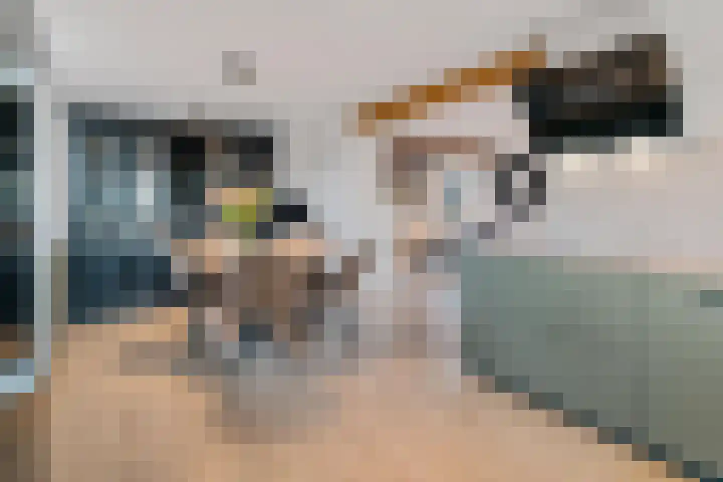 Spaanshuisken 21 Koningsbosch thumbnail 7