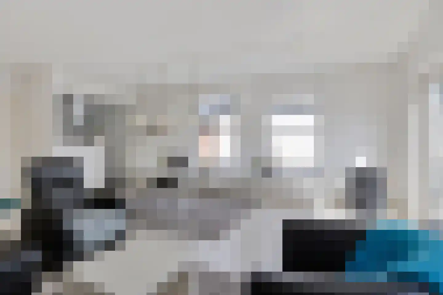Spaanshuisken 33 Koningsbosch thumbnail 12