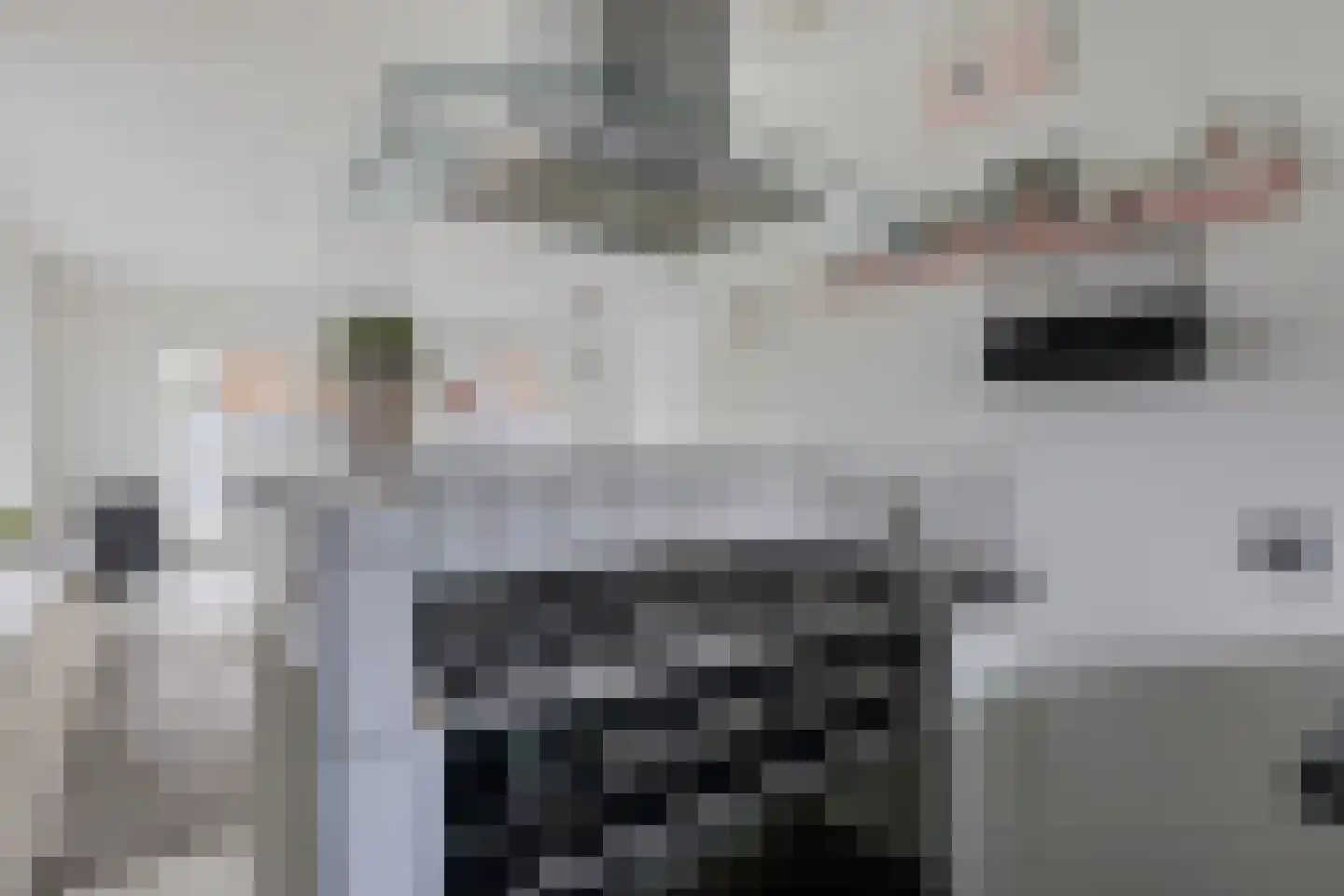 Spaanshuisken 33 Koningsbosch thumbnail 16