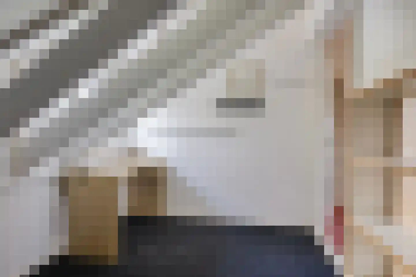 Spaanshuisken 33 Koningsbosch thumbnail 30