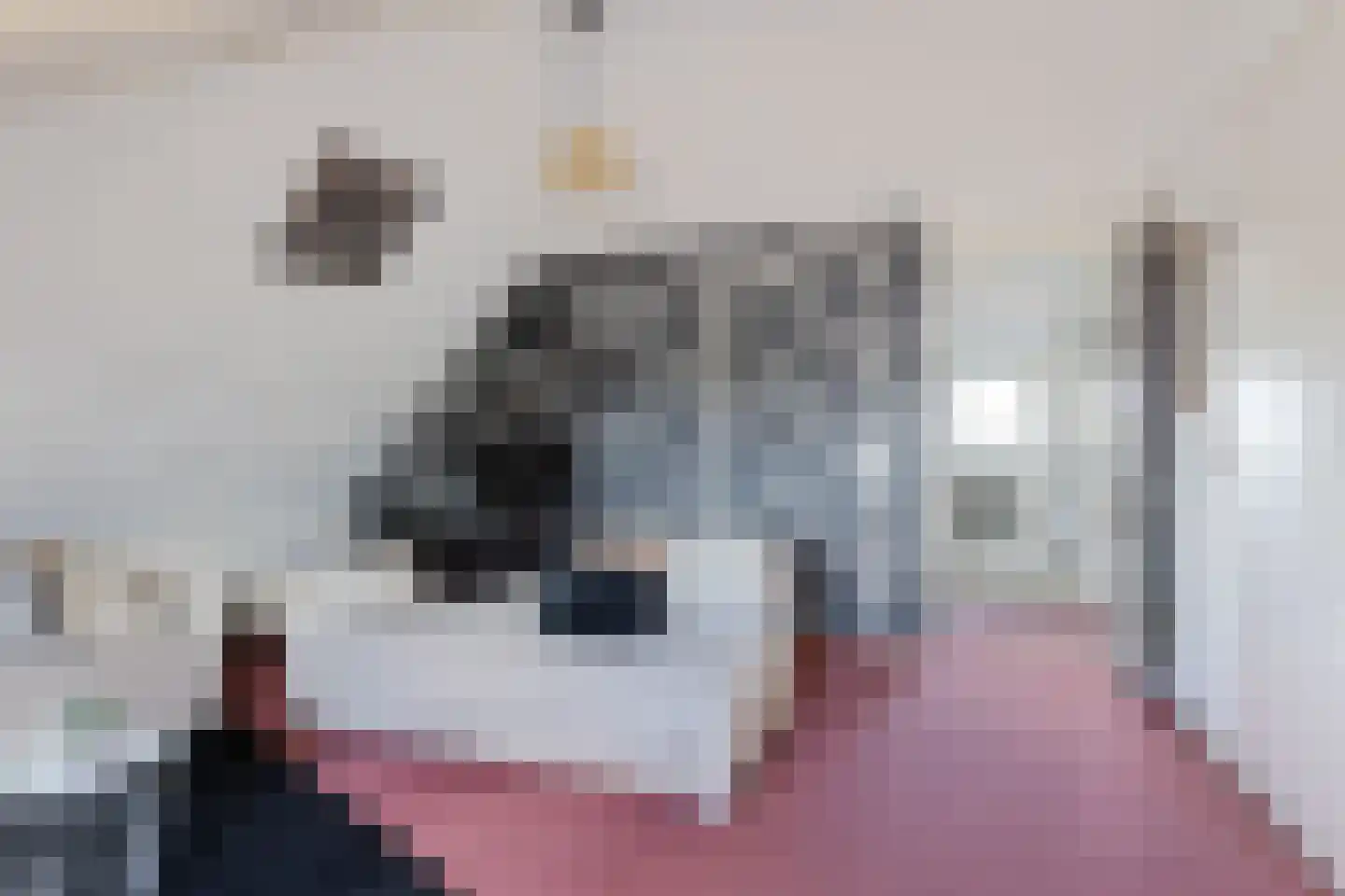 Spaanshuisken 33 Koningsbosch thumbnail 32