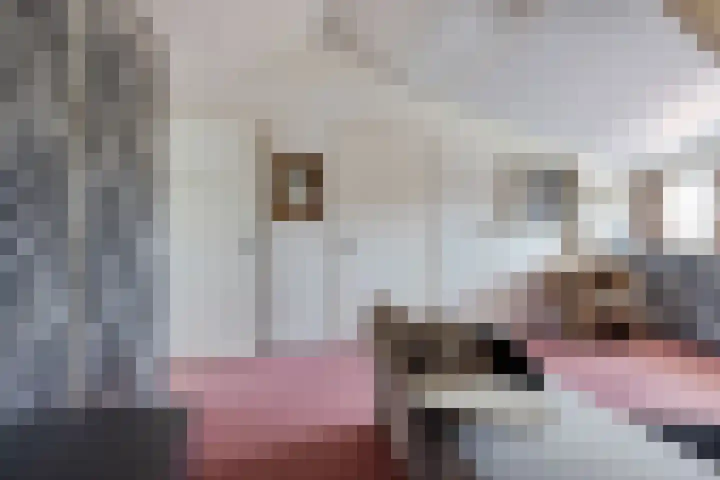 Spaanshuisken 33 Koningsbosch thumbnail 33