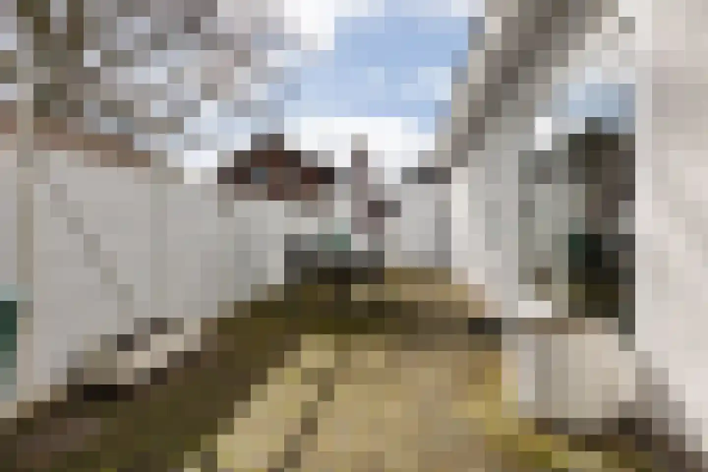 Spaanshuisken 33 Koningsbosch thumbnail 39