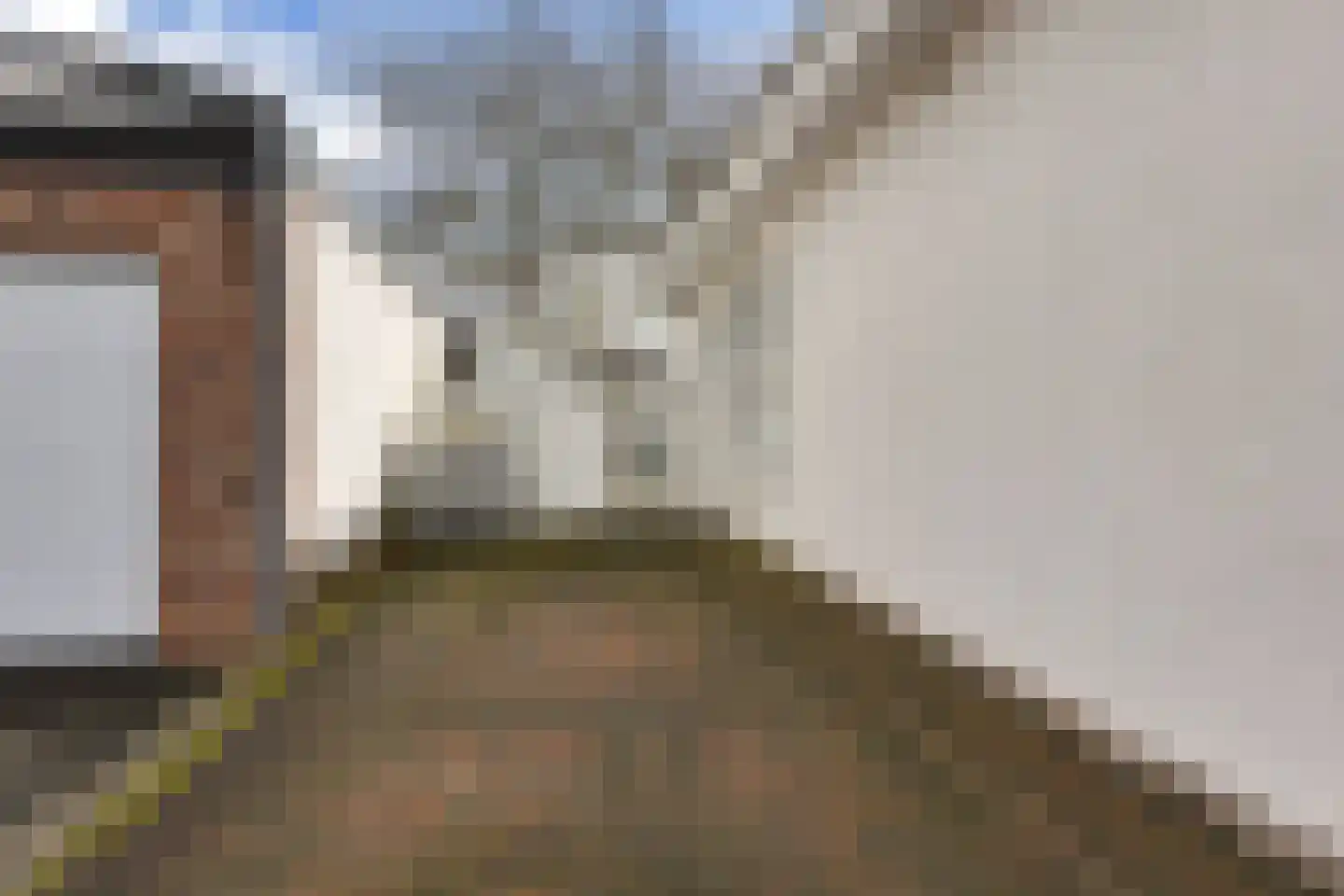 Spaanshuisken 33 Koningsbosch thumbnail 6