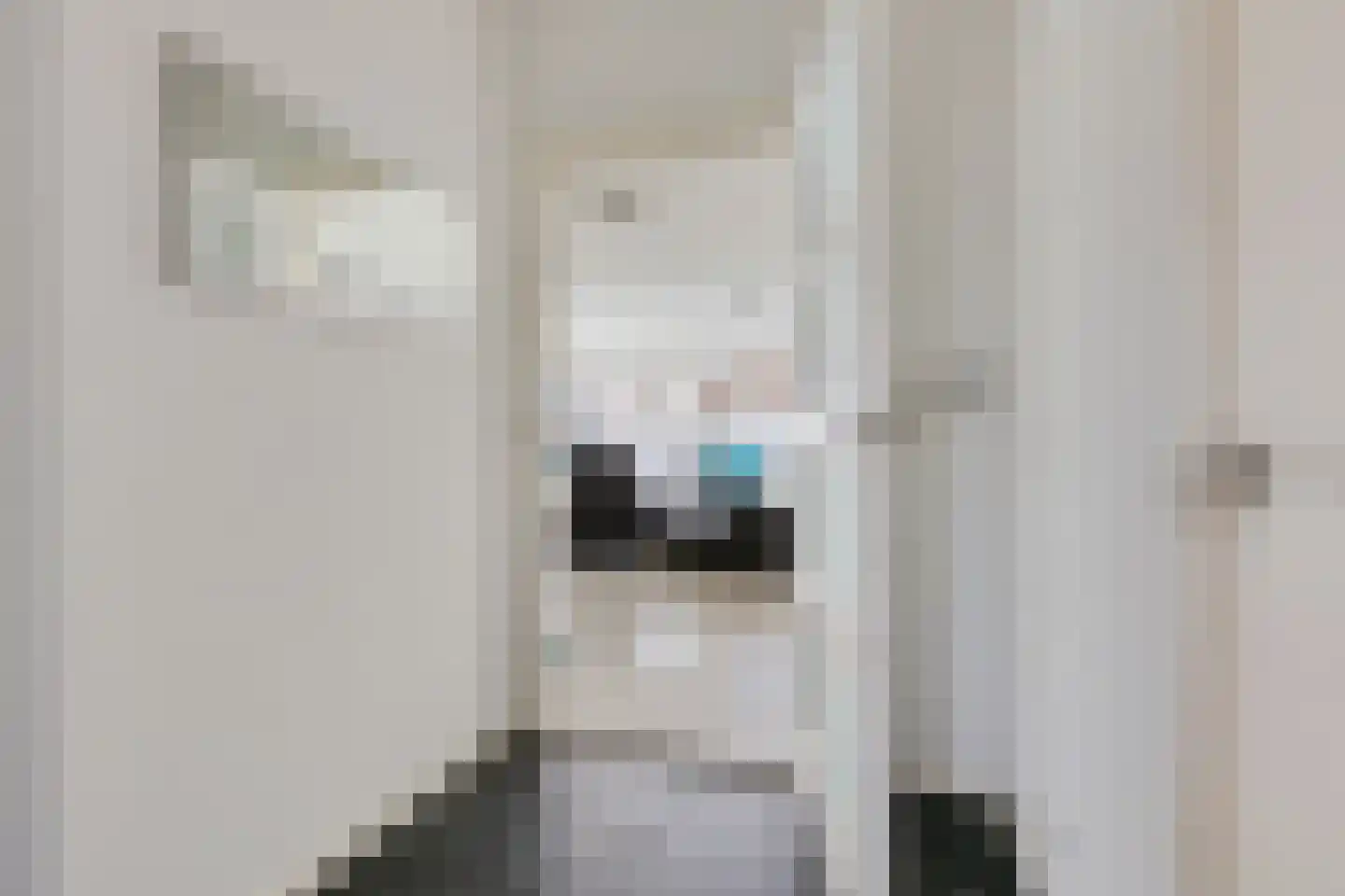Spaanshuisken 33 Koningsbosch thumbnail 8