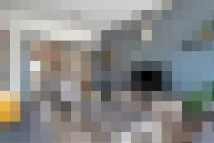 Spaanskamp 14 Hardenberg thumbnail 10