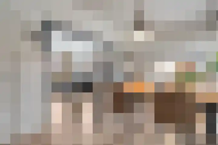 Spaanskamp 14 Hardenberg thumbnail 13