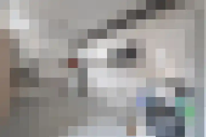 Spaanskamp 14 Hardenberg thumbnail 16