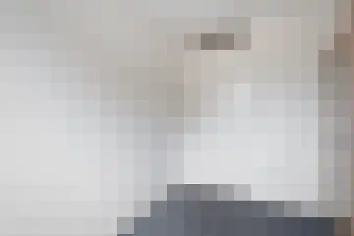 Spaanskamp 14 Hardenberg thumbnail 25