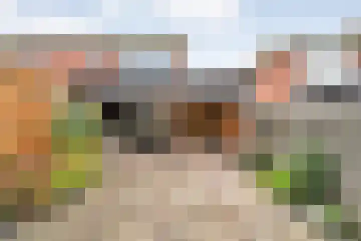 Spaanskamp 14 Hardenberg thumbnail 26