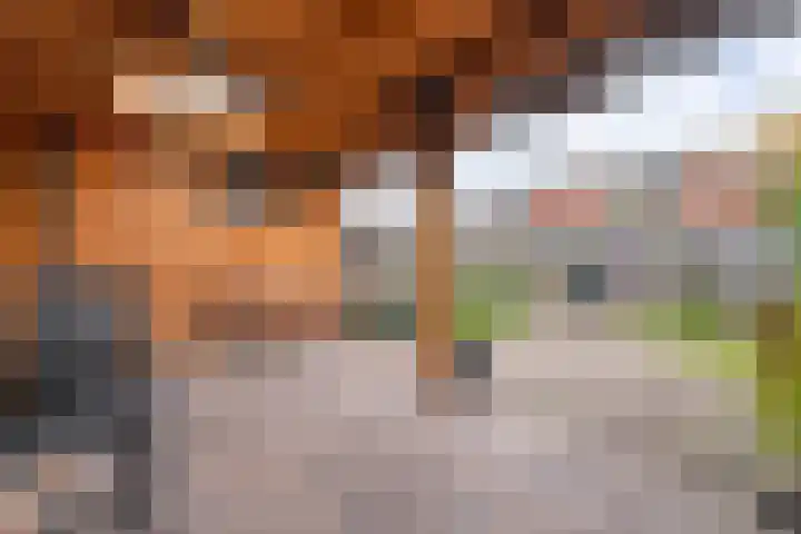 Spaanskamp 14 Hardenberg thumbnail 27