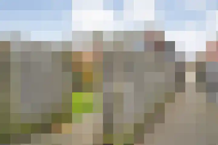 Spaanskamp 14 Hardenberg thumbnail 30