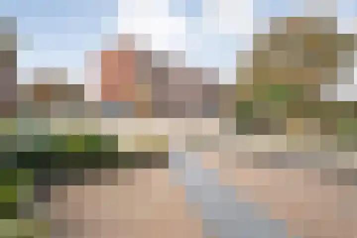 Spaanskamp 14 Hardenberg thumbnail 4