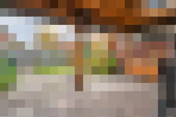 Spaanskamp 14 Hardenberg thumbnail 6