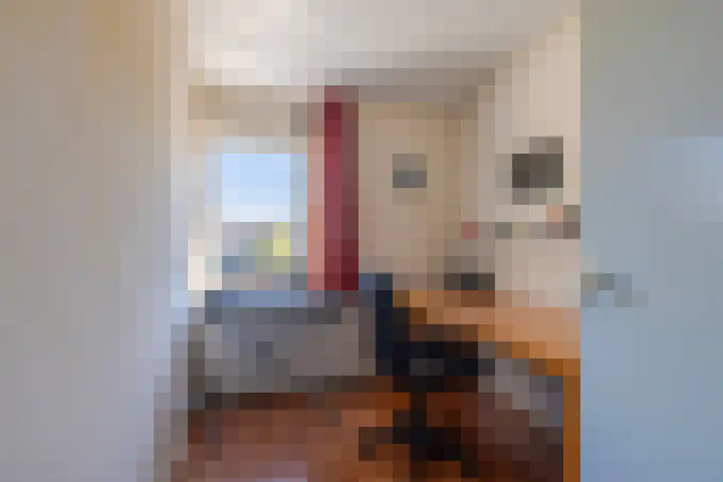 Spaanstraat 19 Oosterhout thumbnail 24