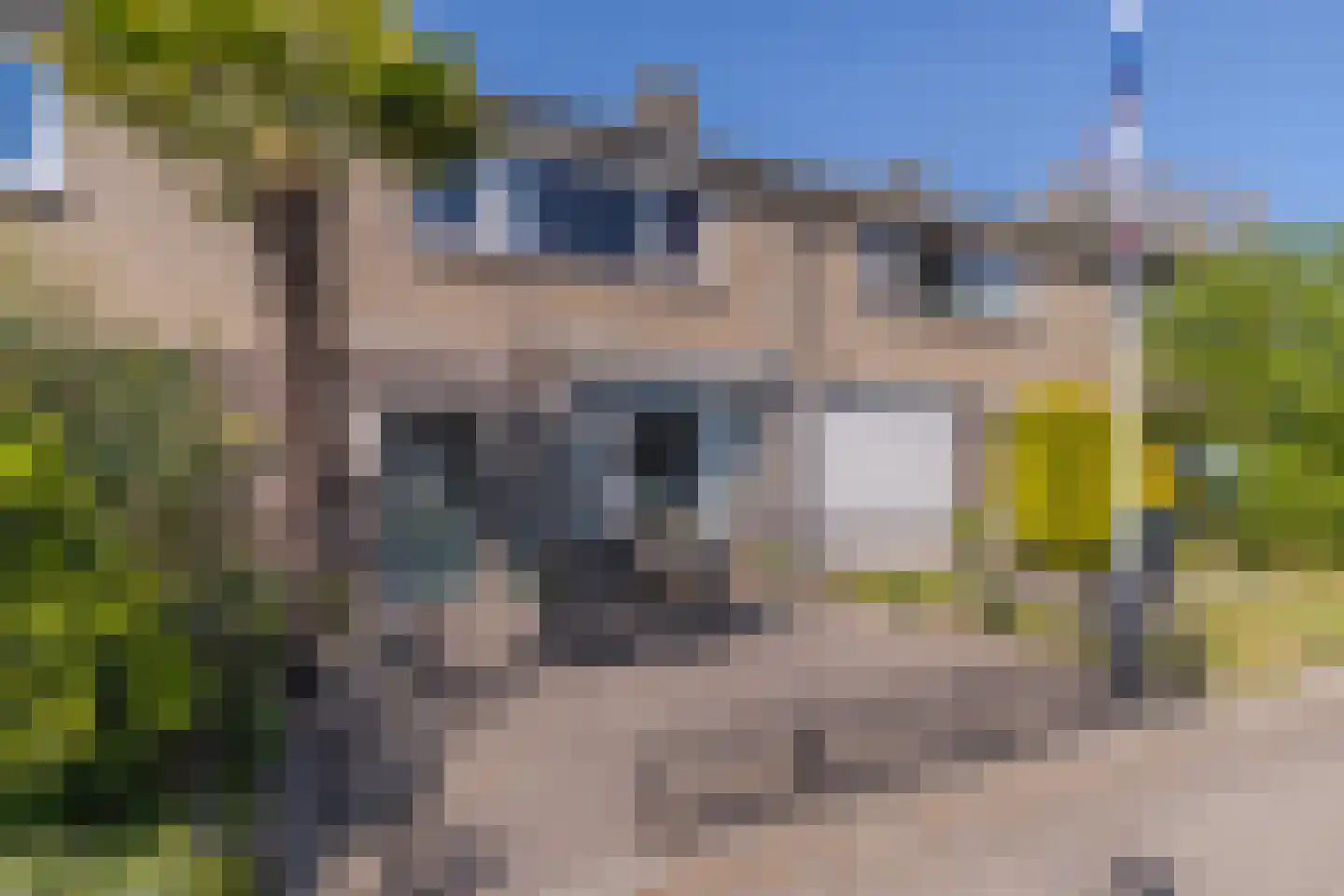 Spaanstraat 19 Oosterhout thumbnail 32