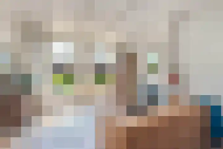 Spaarbankstraat 11 Franeker thumbnail 16