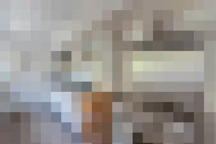 Spaarbankstraat 11 Franeker thumbnail 28