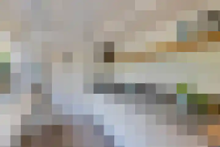 Spaarbankstraat 11 Franeker thumbnail 31