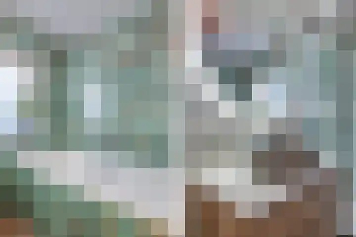 Spaarbankstraat 11 Franeker thumbnail 36