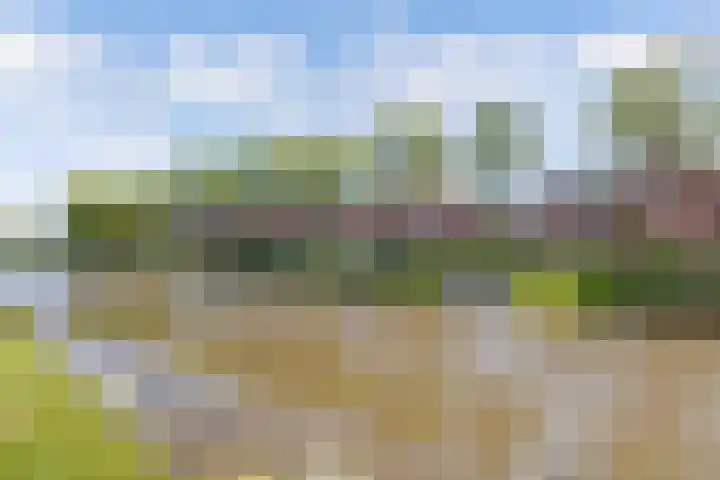 Spaarbankstraat 11 Franeker thumbnail 4