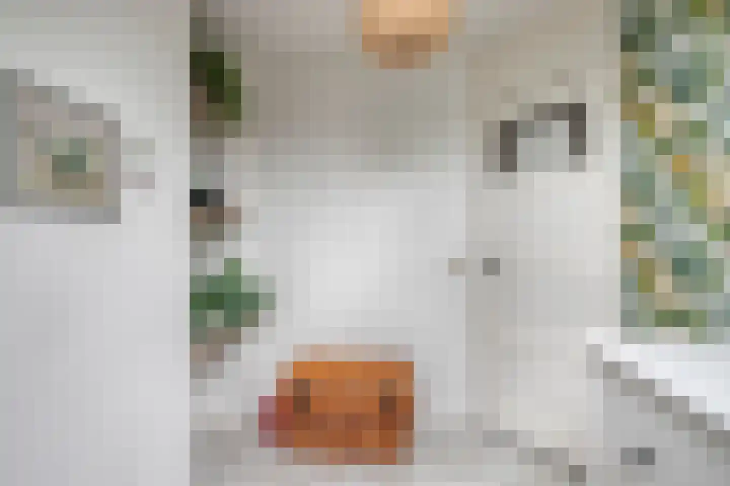 Spaarbankstraat 12 Kampen thumbnail 23