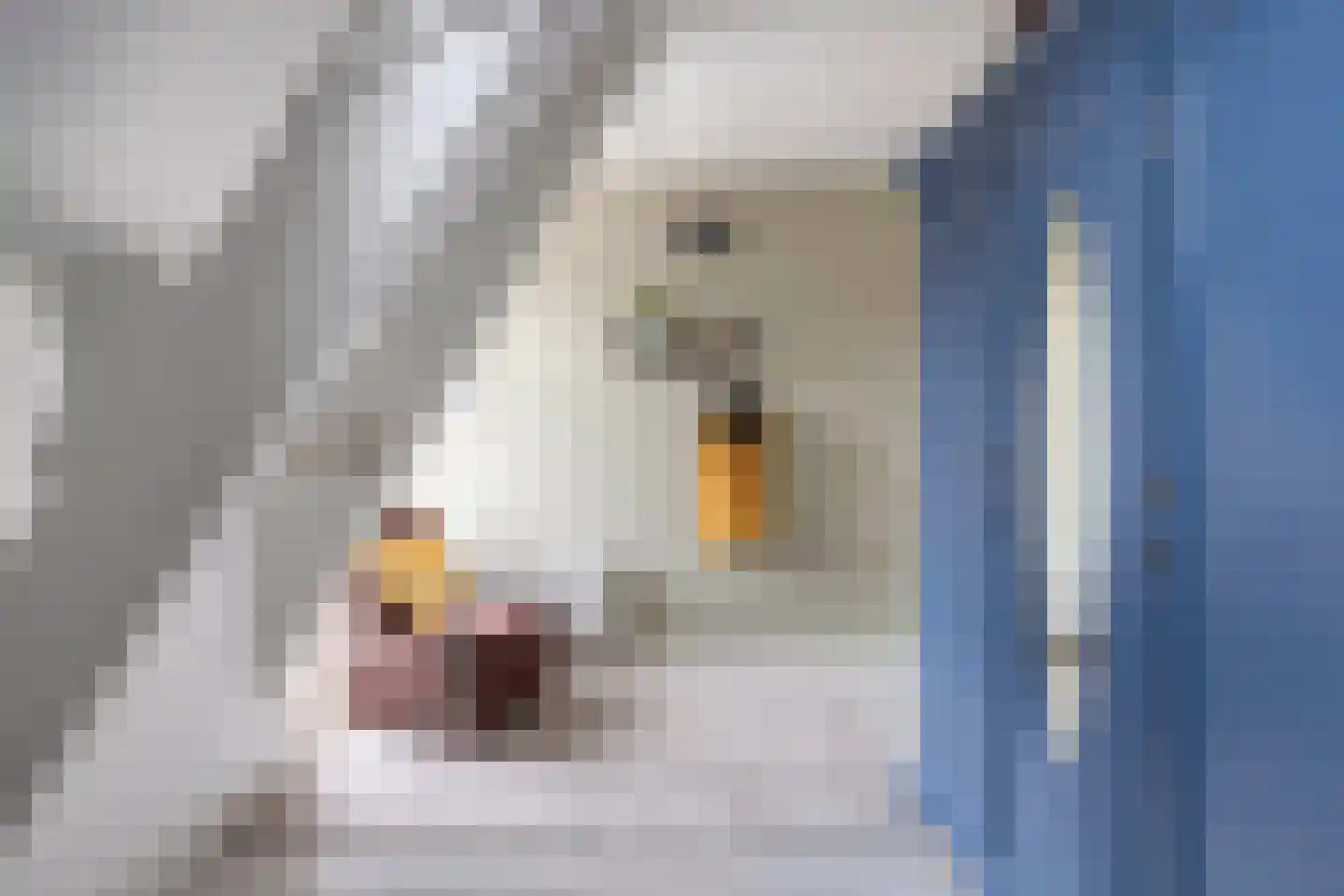 Spaarbankstraat 12 Kampen thumbnail 34